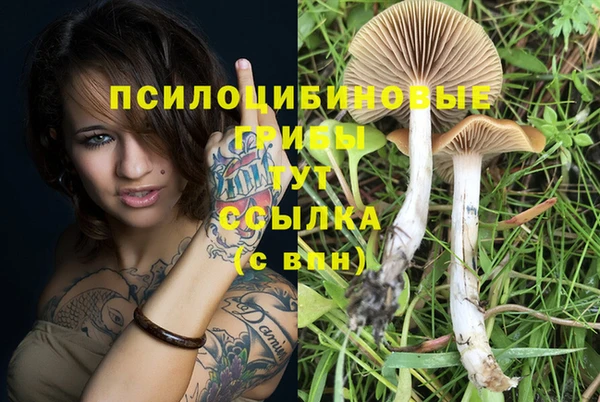 кокаин Сосновый Бор