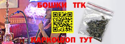 индика Гагарин
