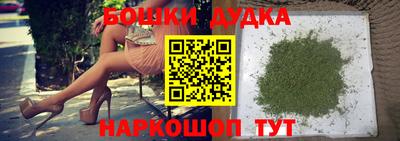 apvp Гатчина