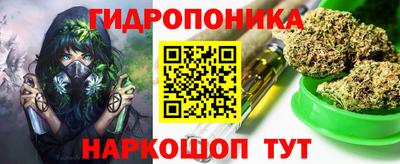индика Гагарин