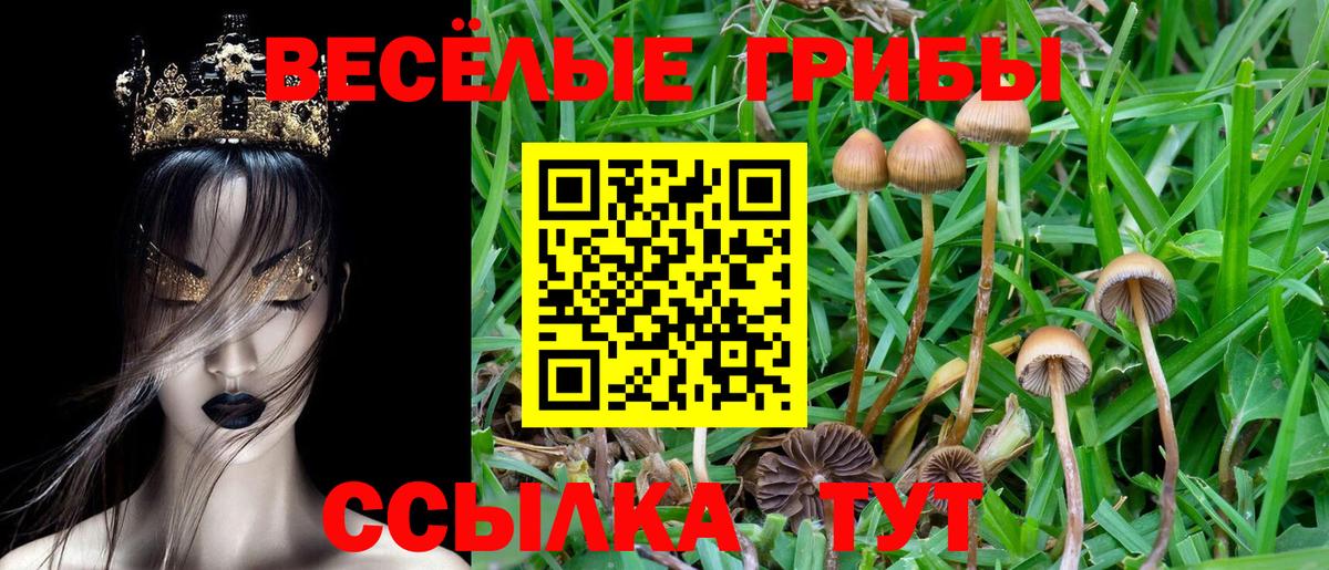 как найти наркотики  Галлюциногенные грибы GOLDEN TEACHER  Узловая  Вход с VPN  Галлюциногенные грибы мицелий 
