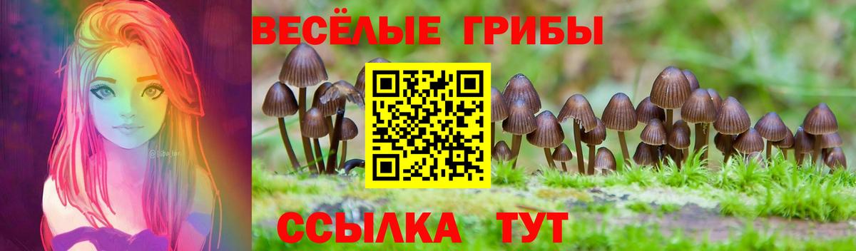 Галлюциногенные грибы ЛСД Узловая